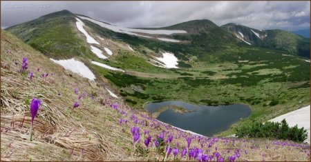 Високо у Карпатах є своя Антарктида (Фото)