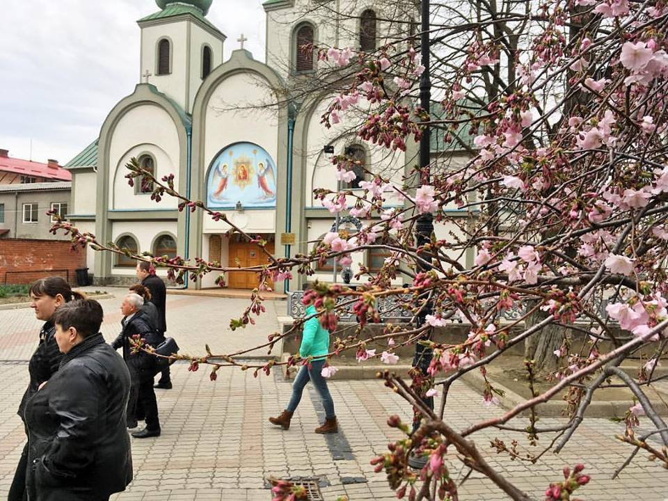 Світлина від Олександра Радиша.