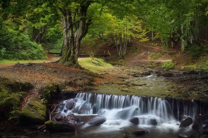 Каскади водоспаду Шипіт