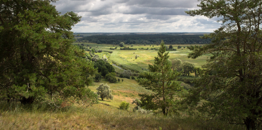 Луганська область фото: Олена Рєзнік