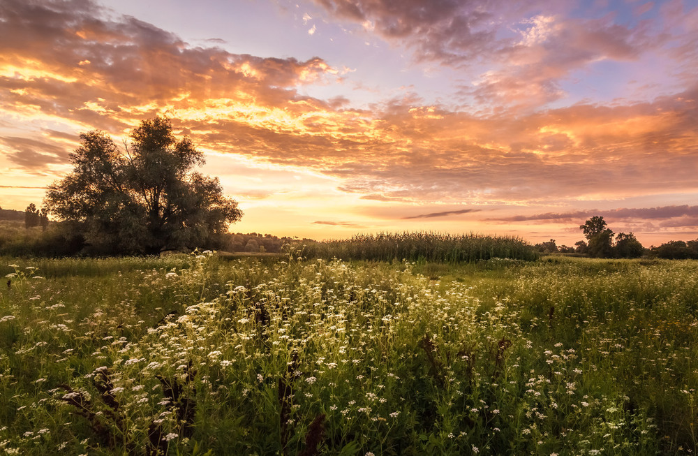 фото: Андрій Алтанець