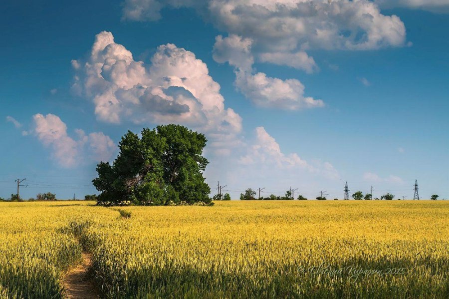 фото: Євген Кирюхін