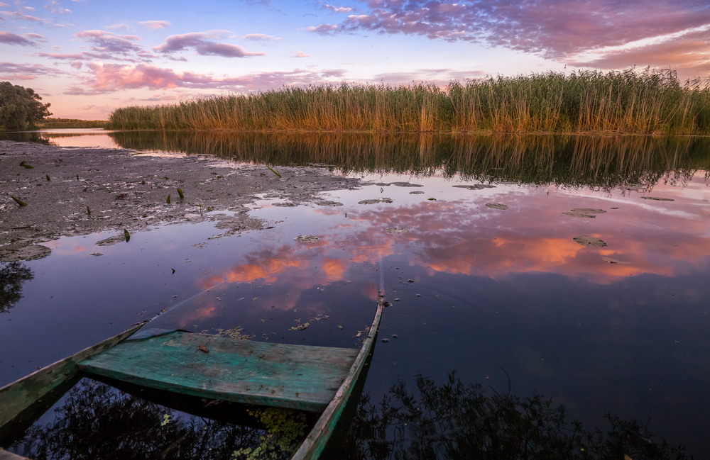 фото: Андрій Алтанець