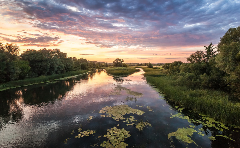 фото: Андрій Алтанець