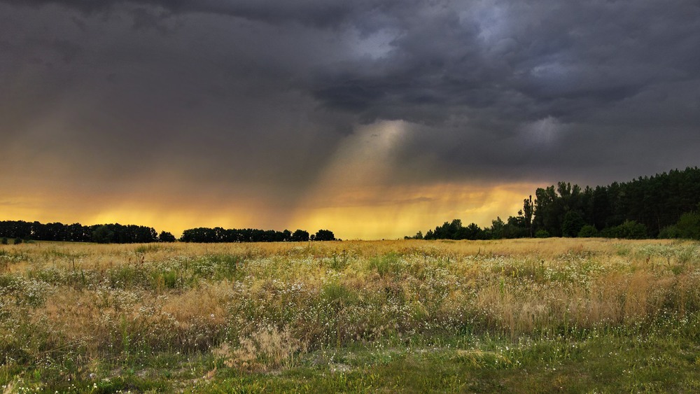 фото: svandrii