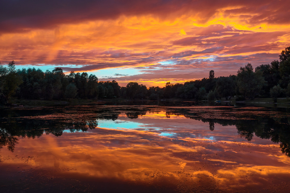 фото: svandrii