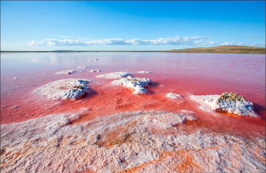 фото Сергій Анашкевич