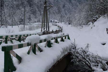 Як живе закарпатська «глибинка»: подорож унікальними селами Руська Мокра та Німецька Мокра (ФОТО)