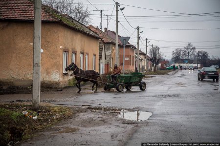 Відомий блогер шокував фотоісторією з циганського табору на Закарпатті