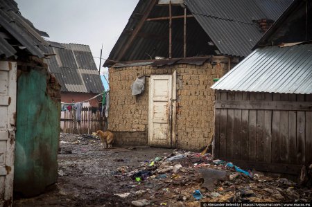 Відомий блогер шокував фотоісторією з циганського табору на Закарпатті