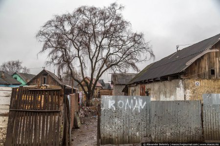 Відомий блогер шокував фотоісторією з циганського табору на Закарпатті