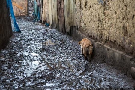 Відомий блогер шокував фотоісторією з циганського табору на Закарпатті