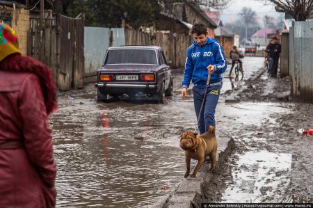 Відомий блогер шокував фотоісторією з циганського табору на Закарпатті