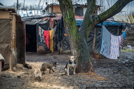 Відомий блогер шокував фотоісторією з циганського табору на Закарпатті