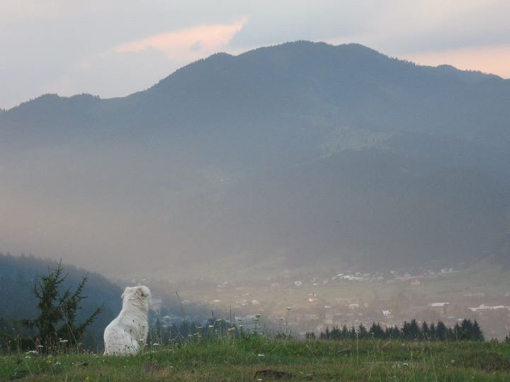 Світанок на березі