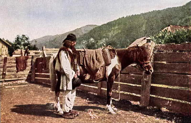 чому гуцулики обскакали гафлінгермів, пінцгауерів та арабів - фото 1