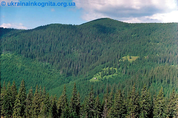 Левківець