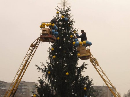 Які вони новорічні красуні Закарпаття ? (ФОТО)