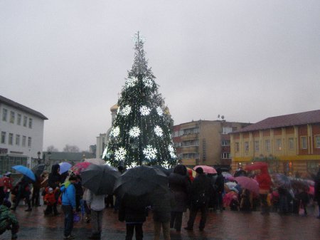 Які вони новорічні красуні Закарпаття ? (ФОТО)