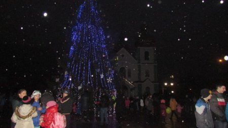 Які вони новорічні красуні Закарпаття ? (ФОТО)