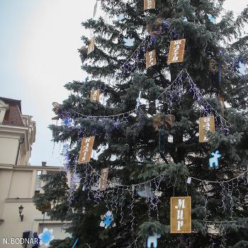 Які вони новорічні красуні Закарпаття ? (ФОТО)