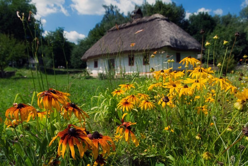 Літо в Пирогові