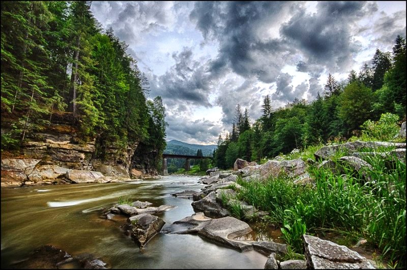 фото: Kirienko