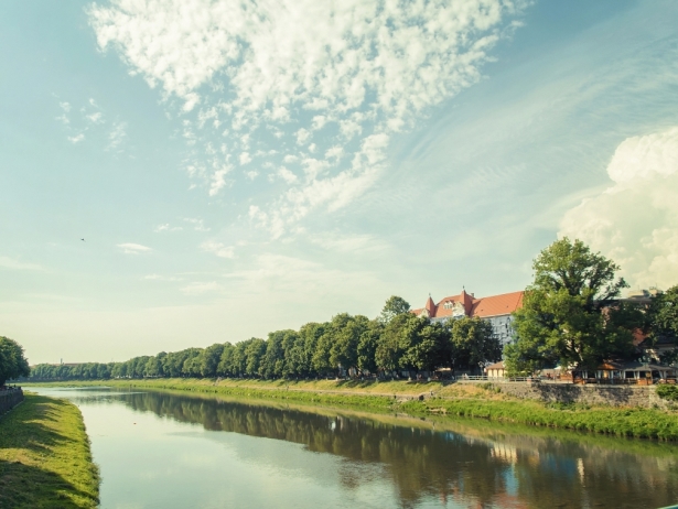 В Ужгороді піку цвітіння досягла найдовша в Європі липова алея (ФОТО) - фото 4